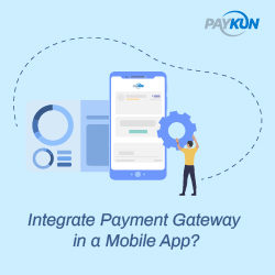 in app payment solutions