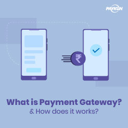 payment gateway india